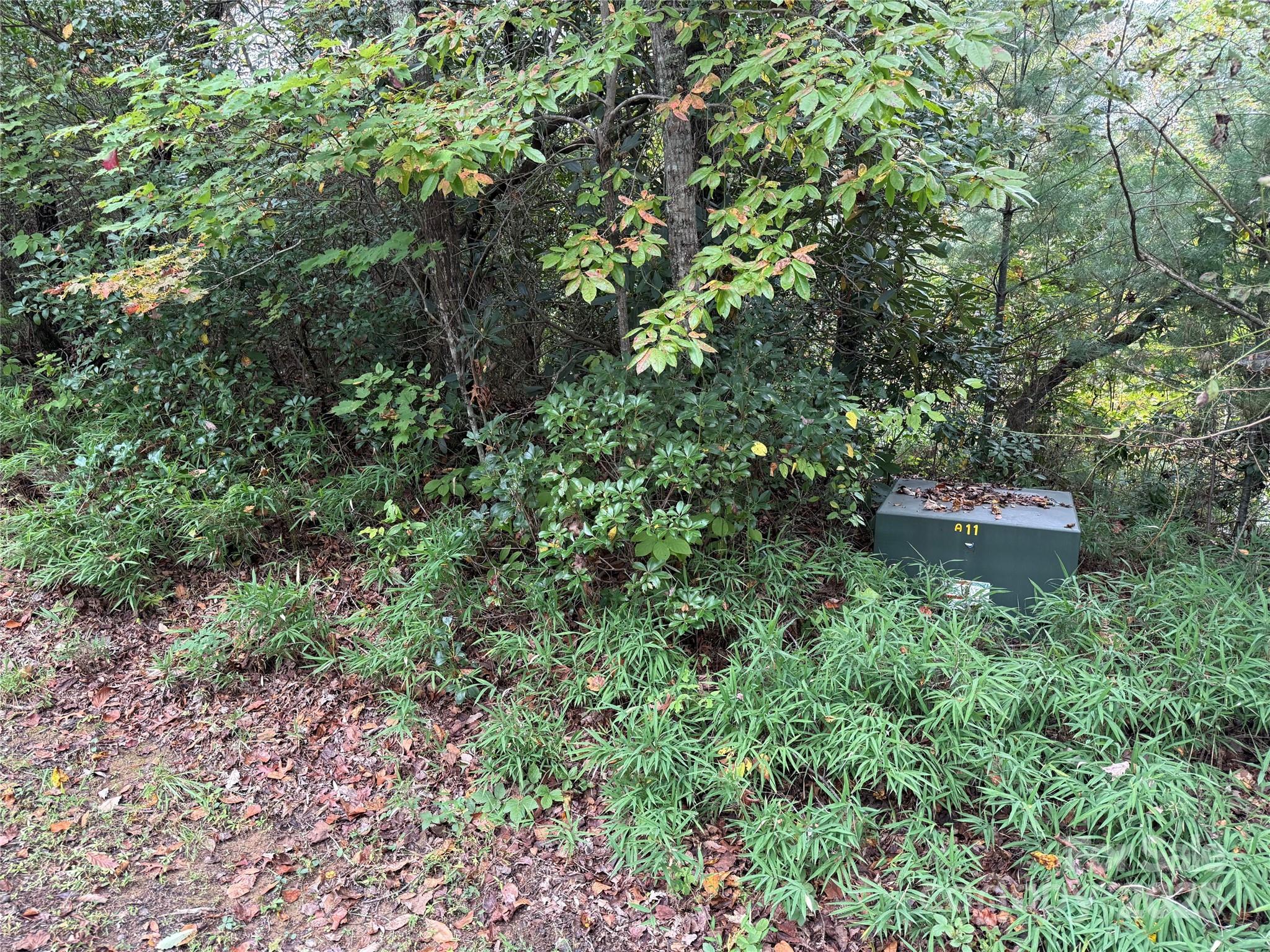 Tdb Tdb Fern Cove Lane, Unit 44 Pisgah Forest, NC 28768 - Photo 9 of 11 a backyard of a house with a yard and fountain