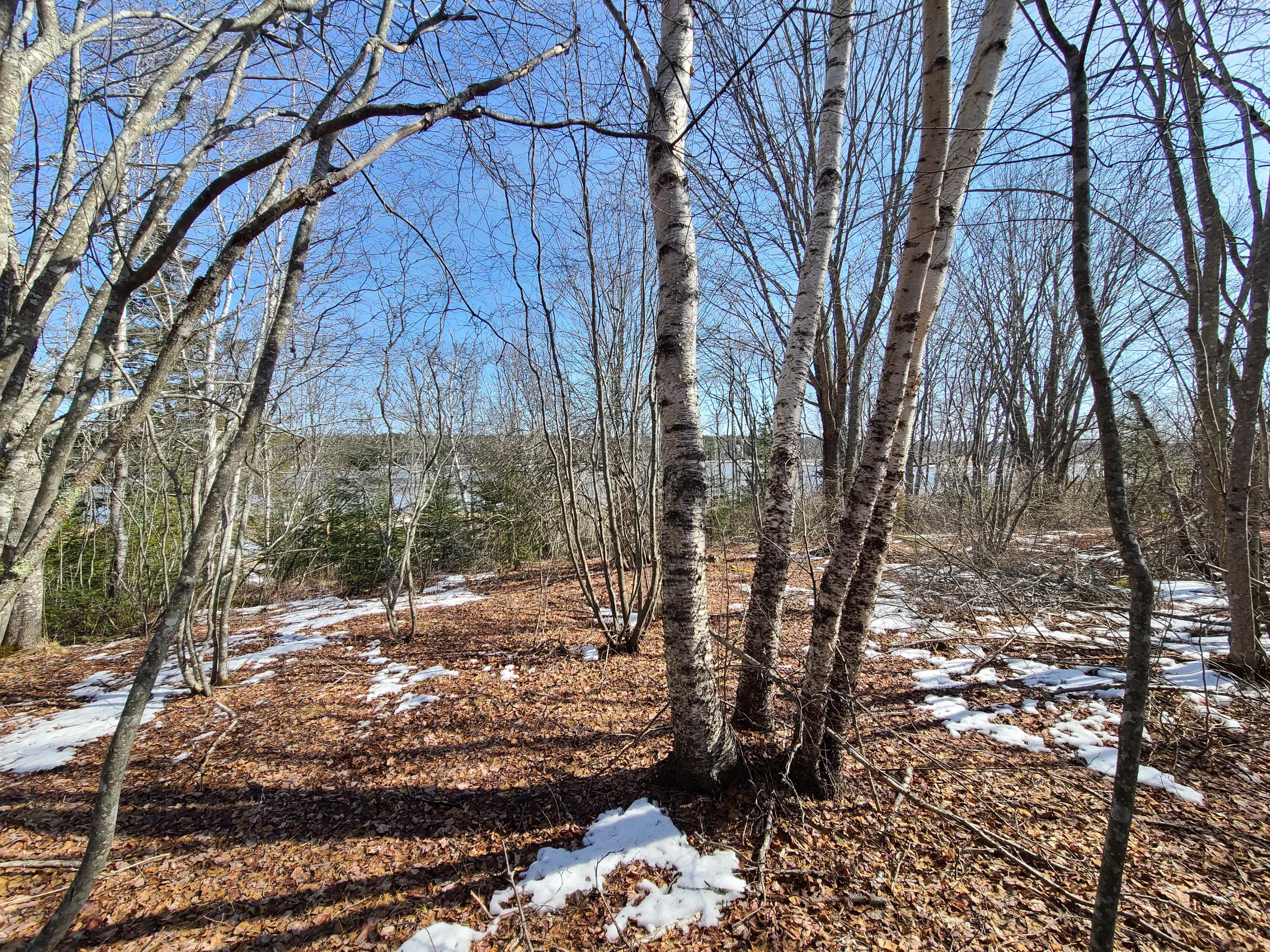 385 West Bay Road Gouldsboro, ME 04607 - Photo 17 of 22 Interior of Lot