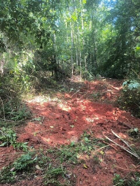 0 Hollyfield Road Rocky Mount, VA 24151 - Photo 3 of 10 a view of a yard with a tree