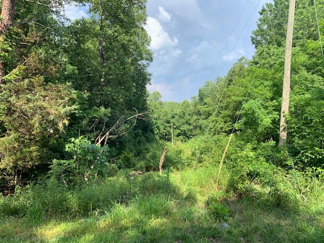 0 Hollyfield Road Rocky Mount, VA 24151 - Photo 5 of 10 a view of a lush green space