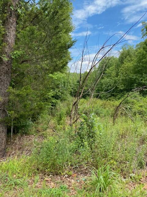 0 Hollyfield Road Rocky Mount, VA 24151 - Photo 6 of 10