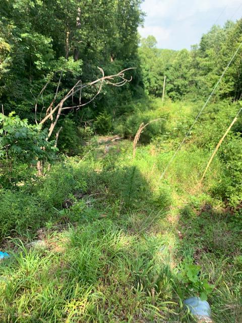 0 Hollyfield Road Rocky Mount, VA 24151 - Photo 7 of 10 a view of a lush green space