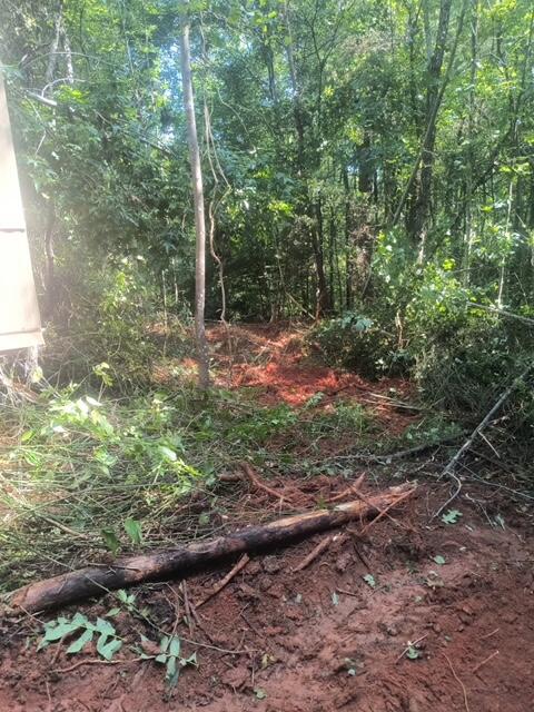 0 Hollyfield Road Rocky Mount, VA 24151 - Photo 8 of 10 a view of a yard with plants and large trees