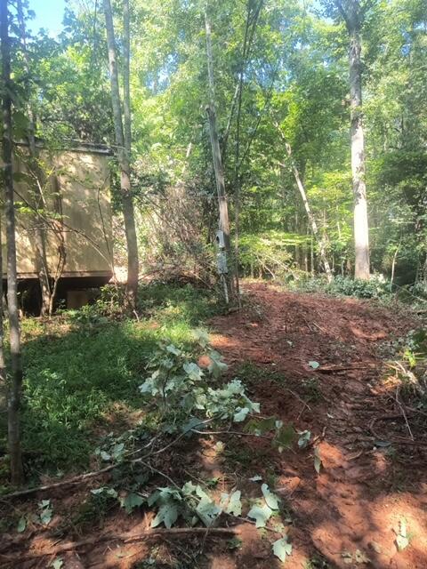 0 Hollyfield Road Rocky Mount, VA 24151 - Photo 9 of 10 a view of backyard with green space