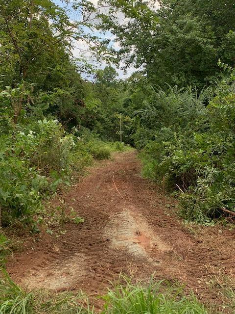 0 Hollyfield Road Rocky Mount, VA 24151 - Photo 10 of 10 a view of a forest with a tree