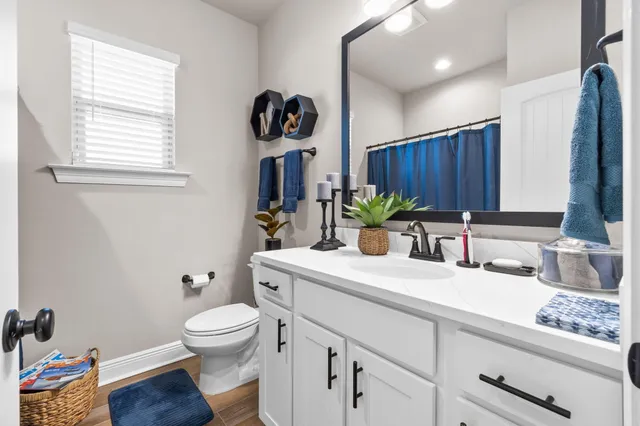 a view of a lush green forest with a lake