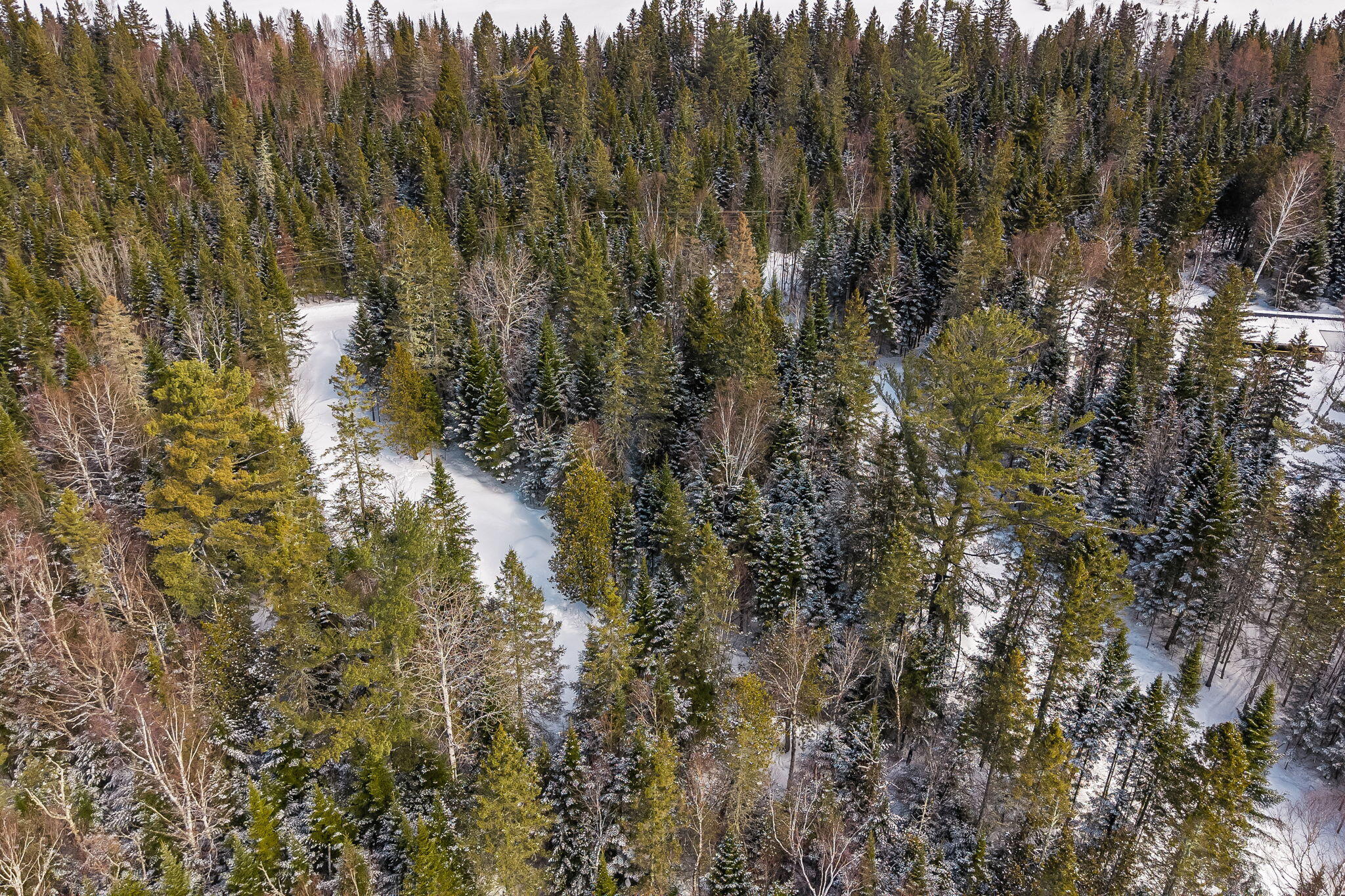 27-12 Winter Road Rangeley, ME 04970 - Photo 22 of 23