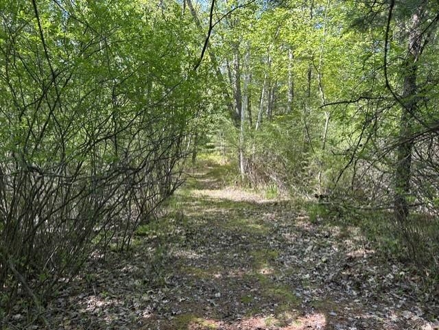 22 Baldwin Resort Road East Tawas, MI 48730 - Photo 19 of 72