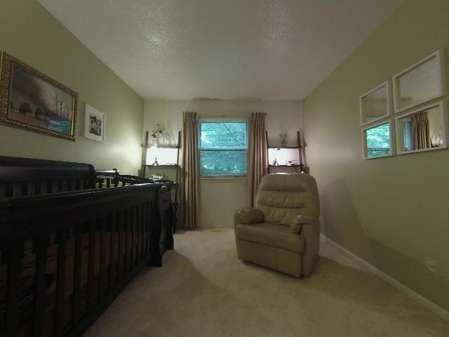 25550 Gordon Road South Bend, IN 46619 - Photo 14 of 30 Gallery Image 14