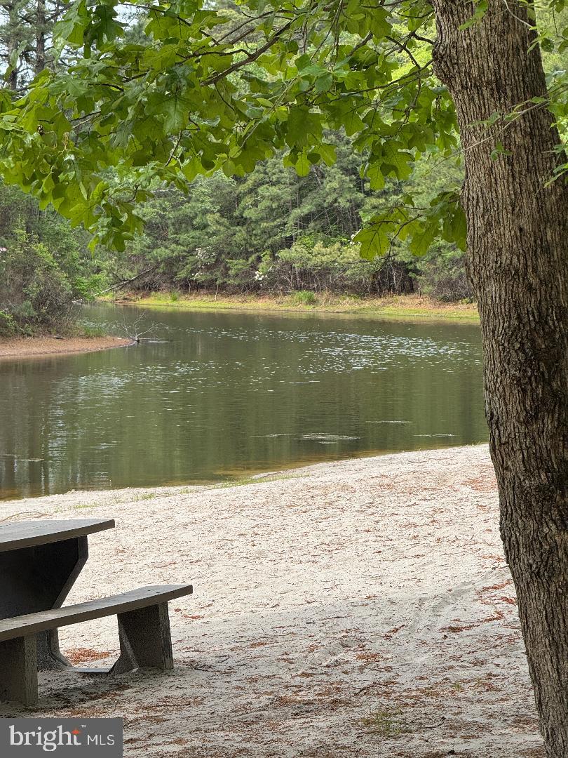 18 Tomahawk Court Medford, NJ 08055 - Photo 9 of 68 Lake