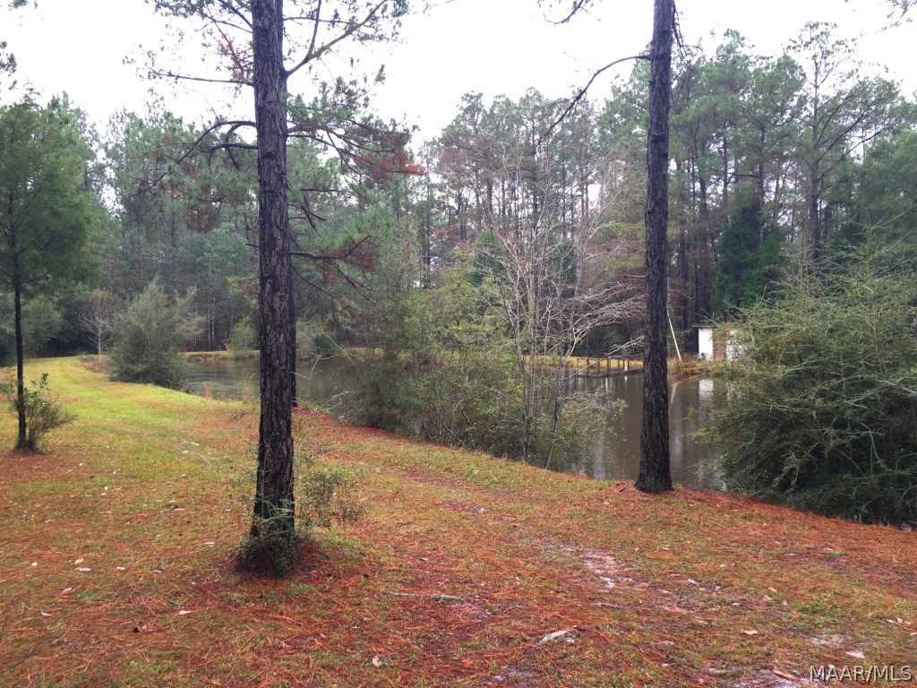 30 Acres Mound Road Black, AL 36314 - Photo 1 of 16 Gallery Image 1