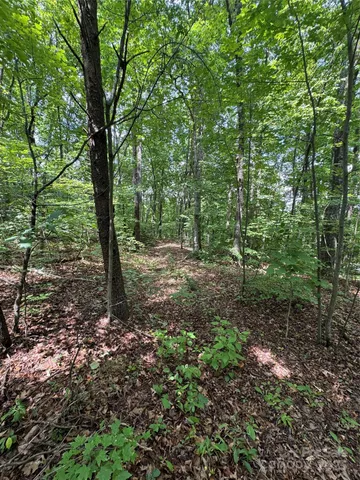 $36,500 | 0 Pinnacle Parkway, Union Mills, NC 28167