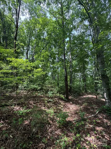 $36,500 | 0 Pinnacle Parkway, Union Mills, NC 28167