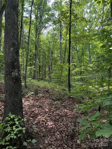 $36,500 | 0 Pinnacle Parkway, Union Mills, NC 28167