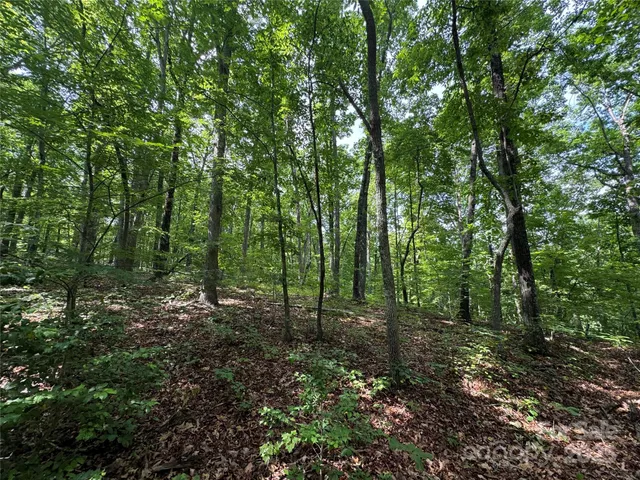 $36,500 | 0 Pinnacle Parkway, Union Mills, NC 28167