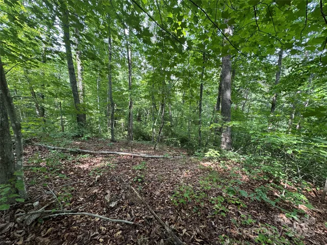 $36,500 | 0 Pinnacle Parkway, Union Mills, NC 28167