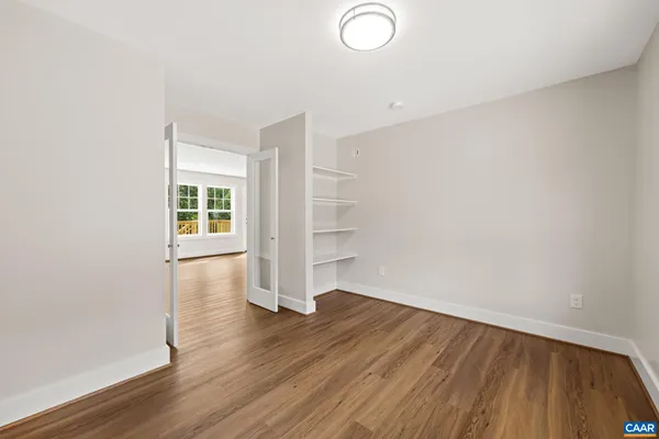 a view of a forest with trees in the background