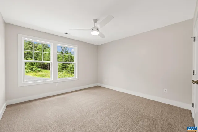 a view of a forest with trees in the background