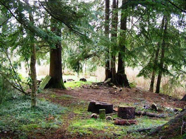 Tl# 500 Hubert Road Tillamook, OR 97141 - Photo 16 of 22 P3102834