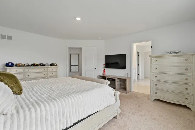 a bedroom with a bed and tv