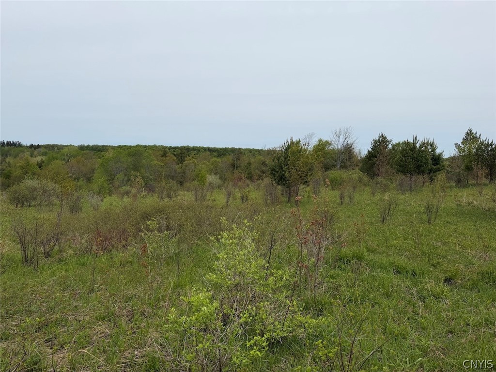 Reynolds Road Franklinville, NY 14737 - Photo 32 of 38