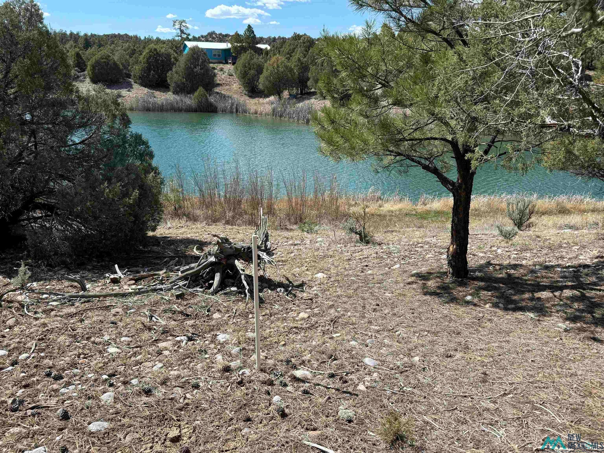16 Overlook Road Los Ojos, NM 87551 - Photo 10 of 39 Gallery Image 10