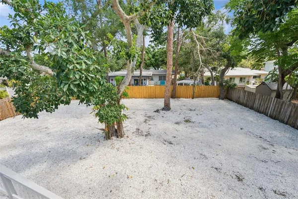 a view of a yard with potted plants and large trees