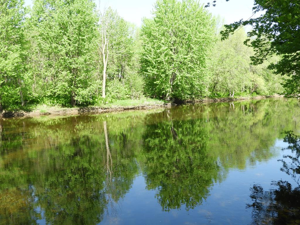441 Creek Road Champlain, NY 12919 - Photo 7 of 36 Gallery Image 7