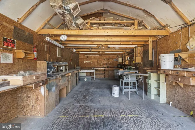 a view of a backyard with large trees and plants