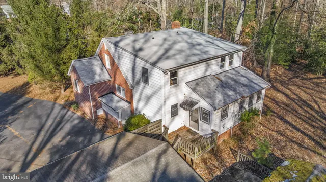 a view of a forest with a forest