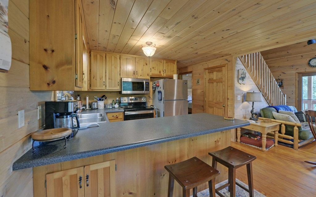 2370 Mountain View Road McCaysville, GA 30555 - Photo 3 of 44 Gallery Image 3