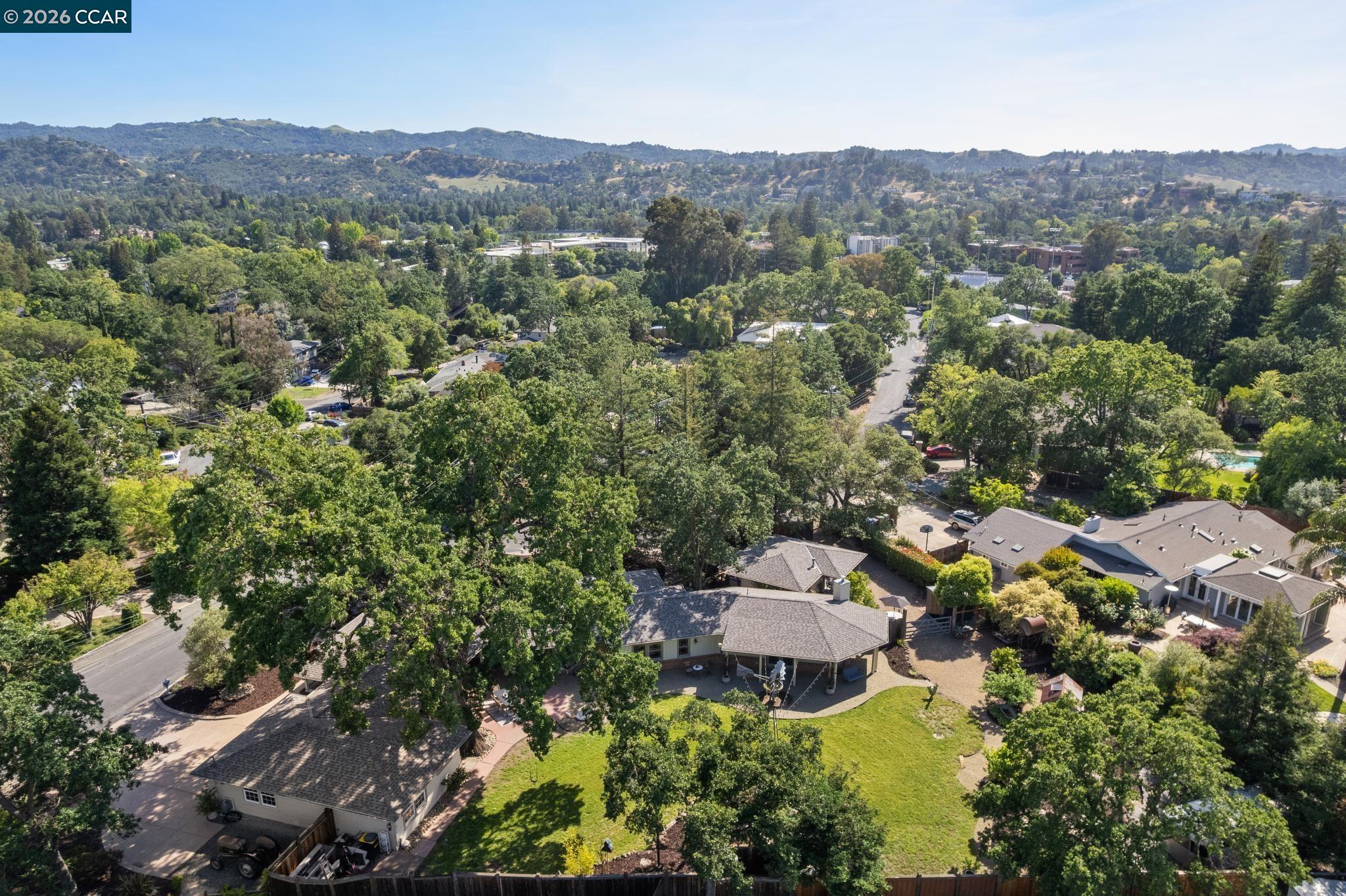 20 Santa Rita Drive Walnut Creek, CA 94596 - Photo 42 of 44