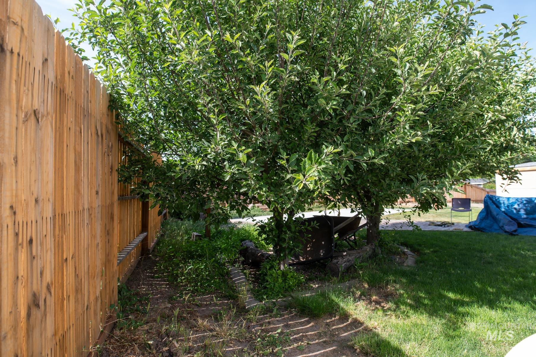 736 East Main Street Weiser, ID 83672 - Photo 32 of 33 Lush green trees and a full privacy fence define this outdoor space