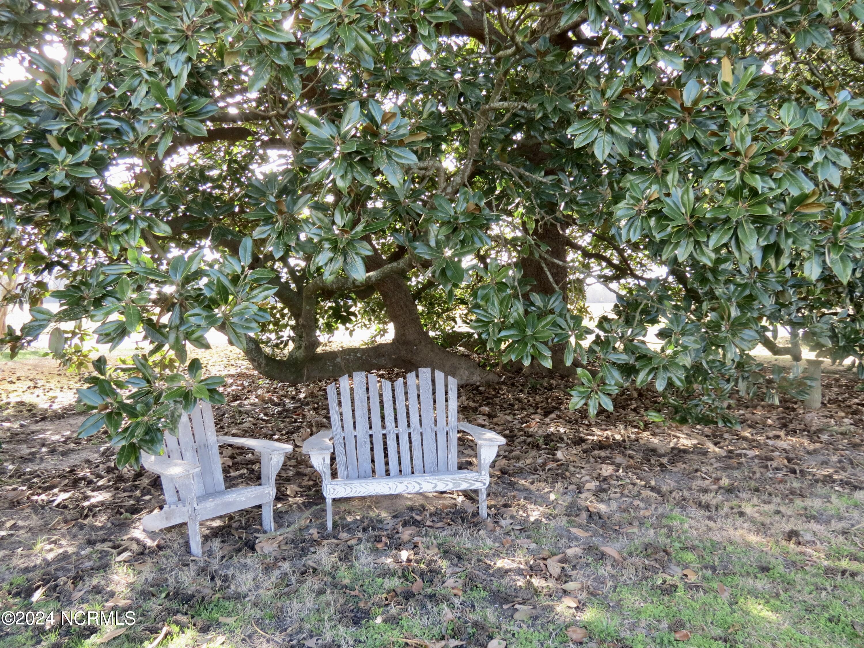 349 Yeopim Road Edenton, NC 27932 - Photo 62 of 72 IMG_4260