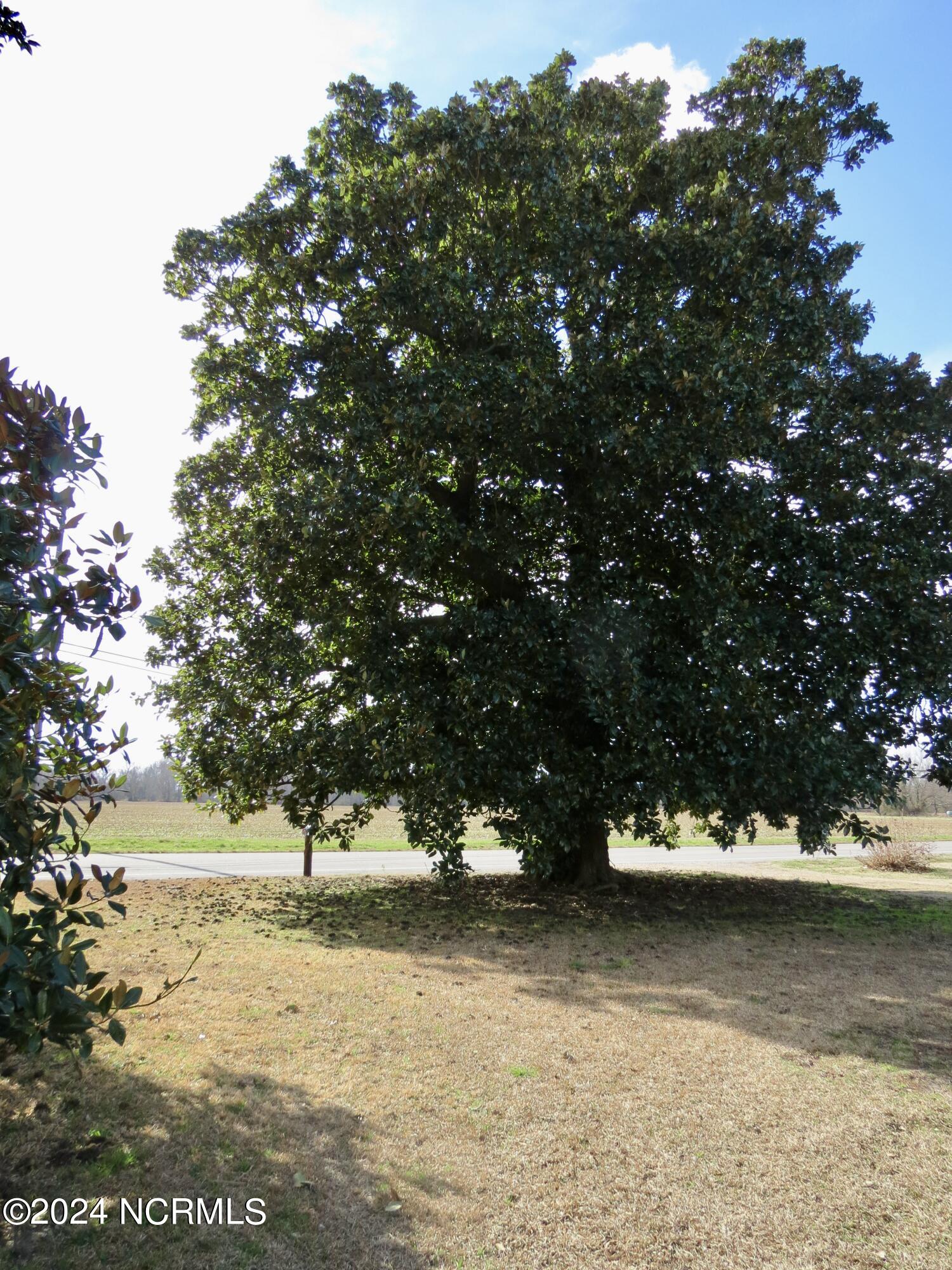 349 Yeopim Road Edenton, NC 27932 - Photo 64 of 72 IMG_4262