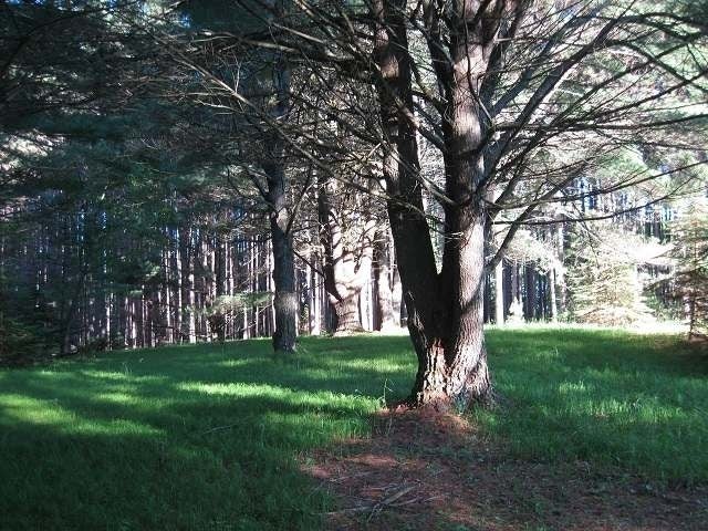 On Camp Bryn Afon Road Rhinelander, WI 54501 - Photo 4 of 9 Gallery Image 4