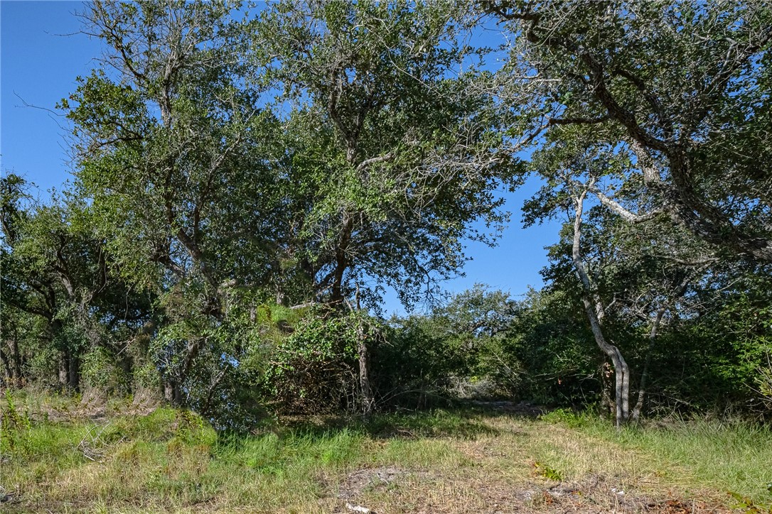 1501 Prairie Road Rockport, TX 78382 - Photo 15 of 17