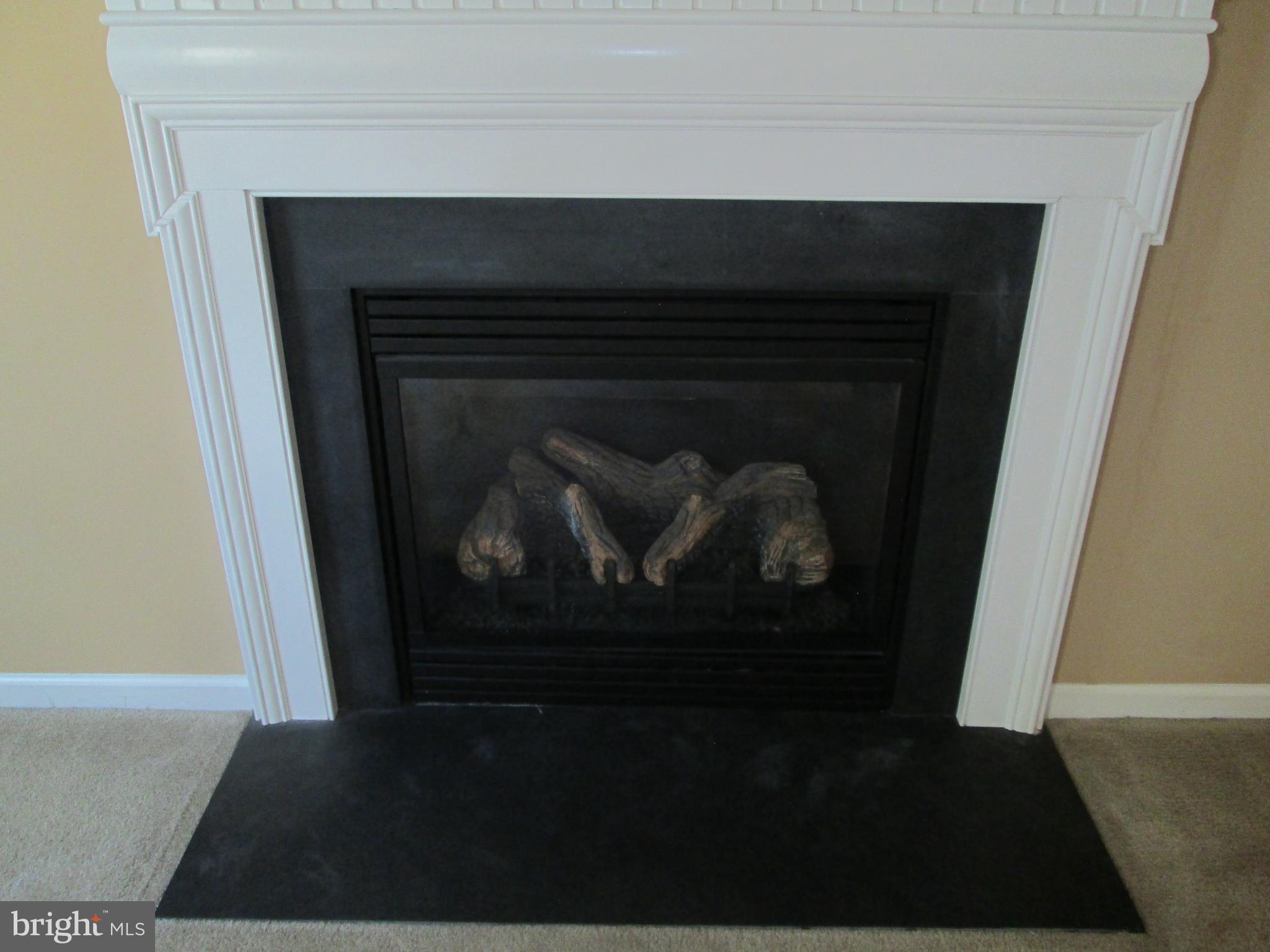 900 Gladway Road Baltimore, MD 21220 - Photo 17 of 68 Natural Gas Fireplace
