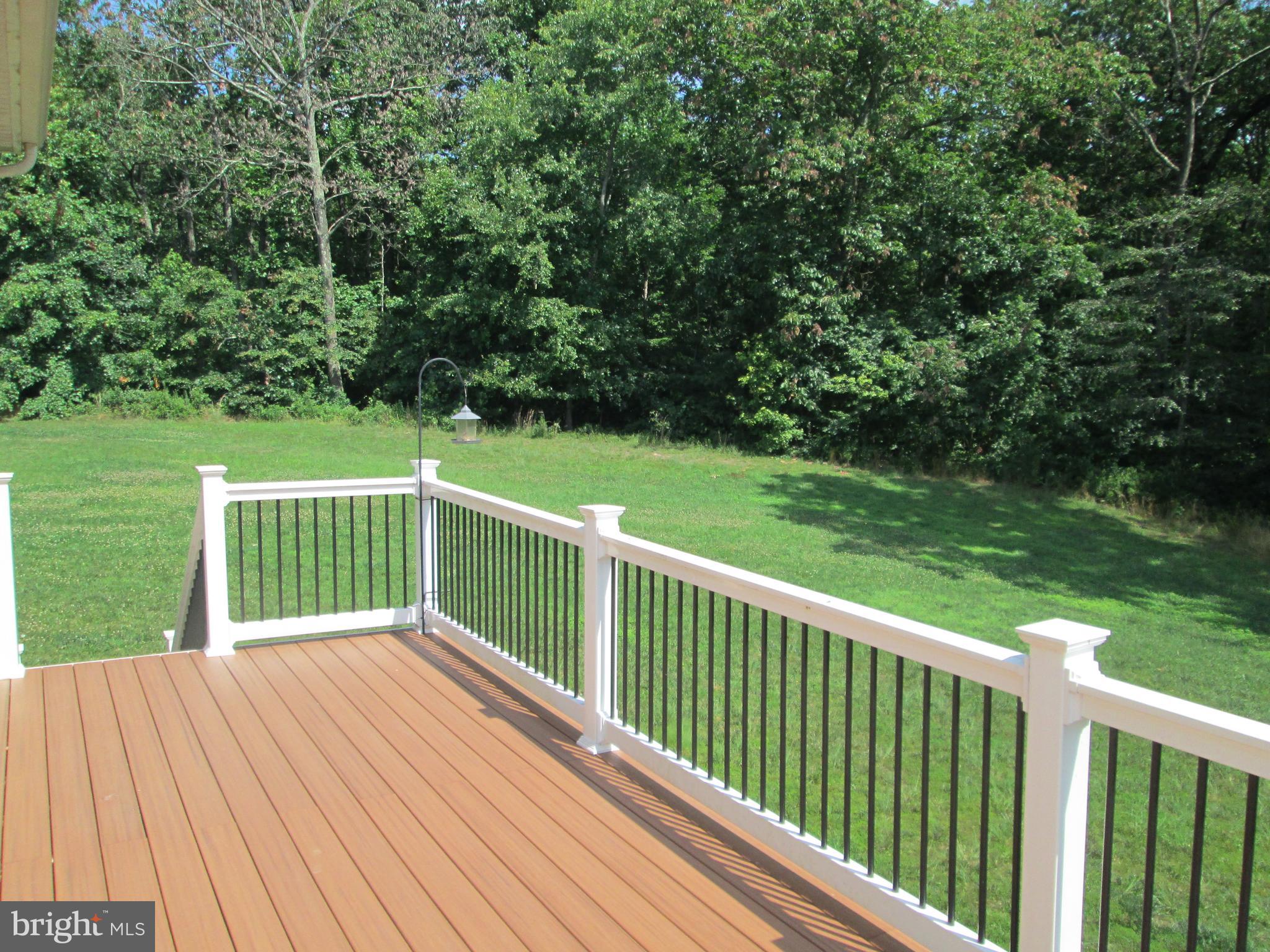 900 Gladway Road Baltimore, MD 21220 - Photo 20 of 68 Maintenance Free deck view 1