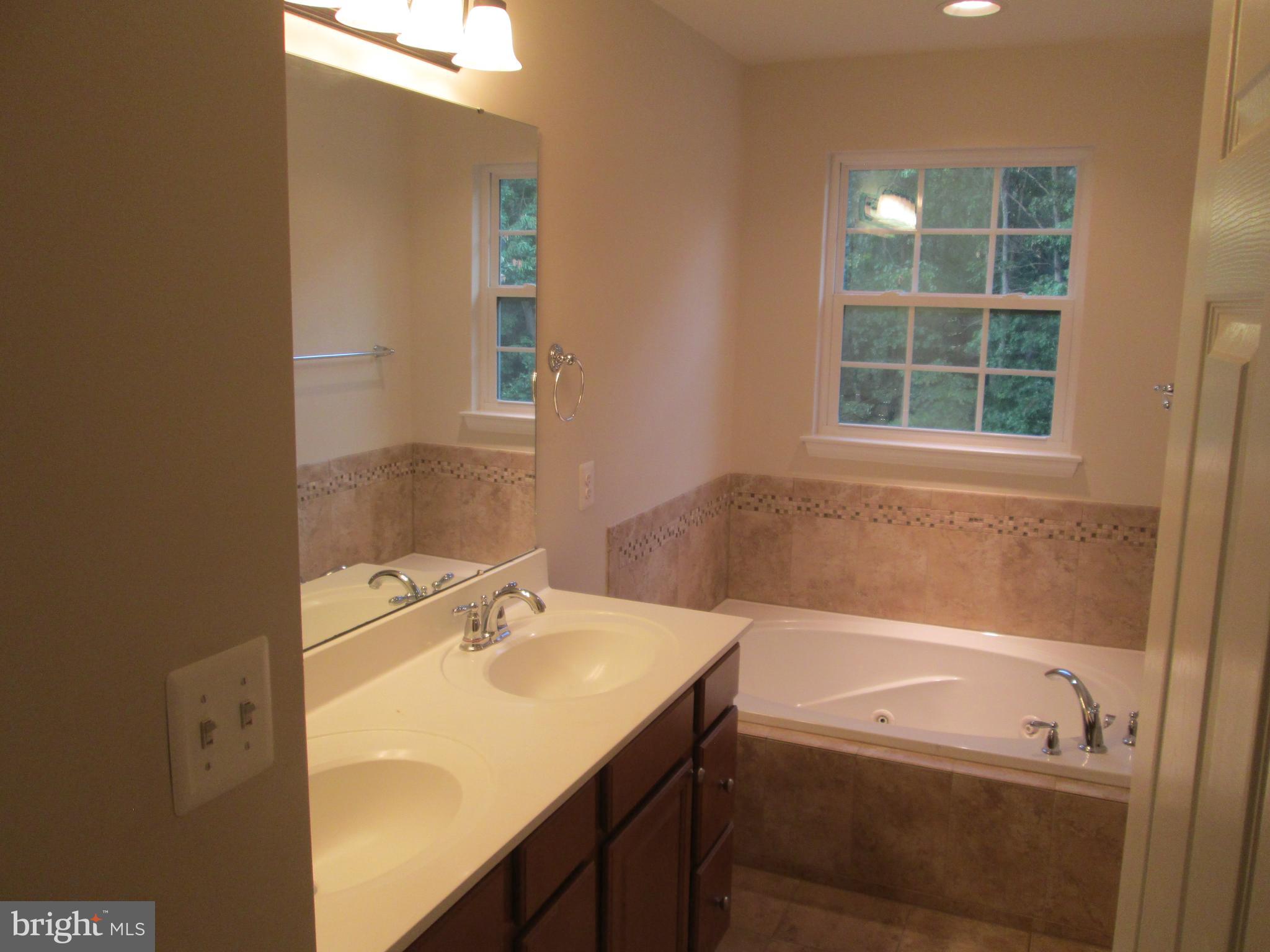 900 Gladway Road Baltimore, MD 21220 - Photo 32 of 68 Ensuite Super Bath i Primary Suite view 1