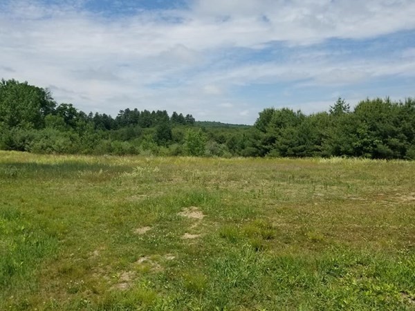 566 5 Mile River Road Putnam, CT 06260 - Photo 5 of 37 Gallery Image 5