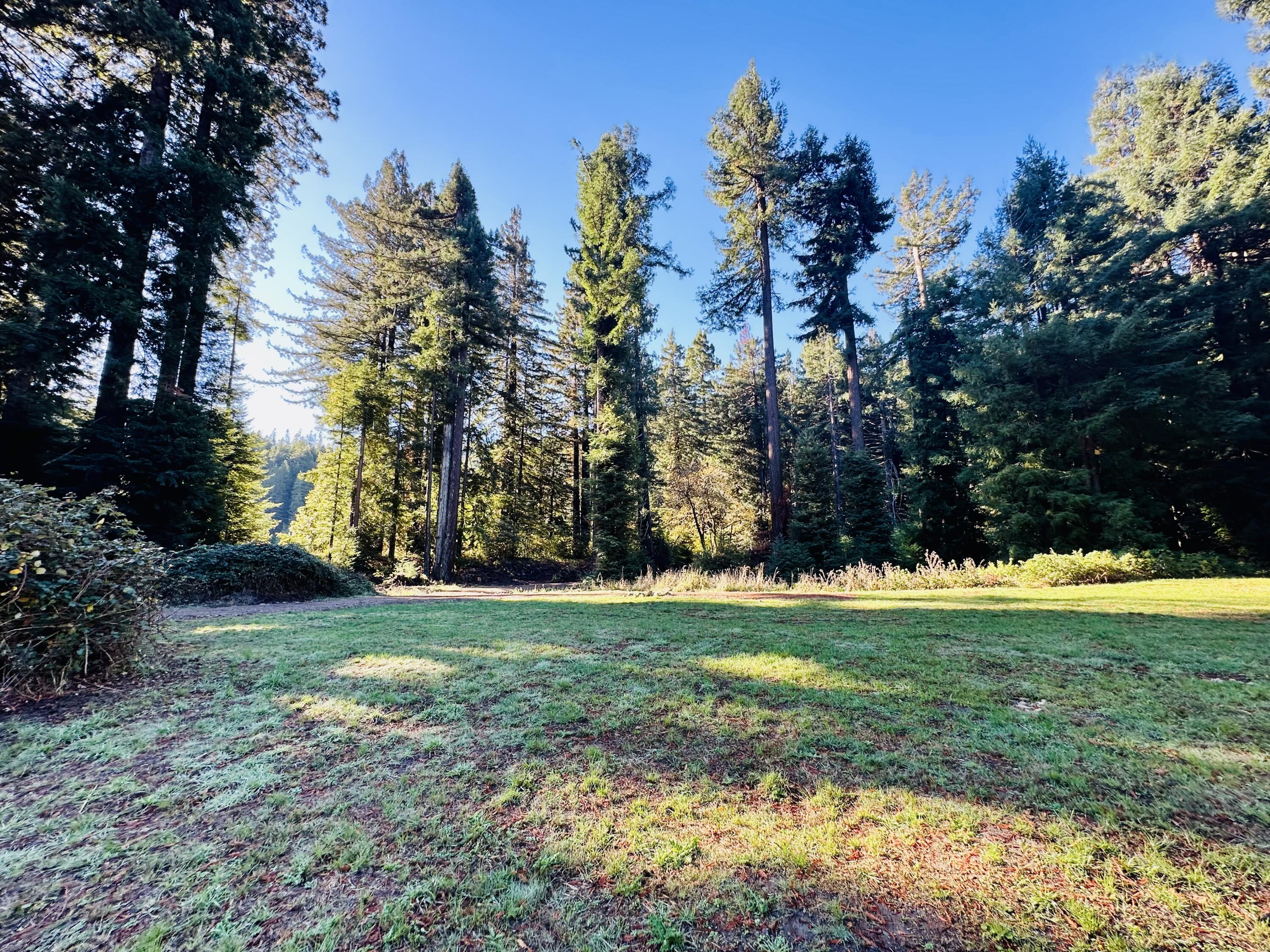 3330 Whitlow Road Myers Flat, CA 95554 - Photo 5 of 96