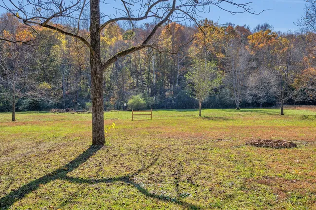 a view of a house with backyard and tree