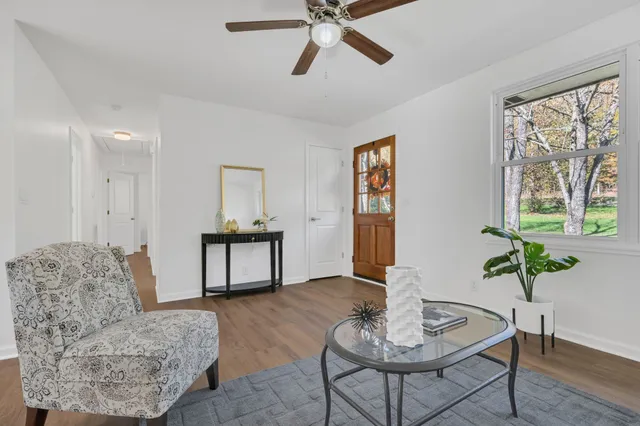 a living room with furniture and a potted plant