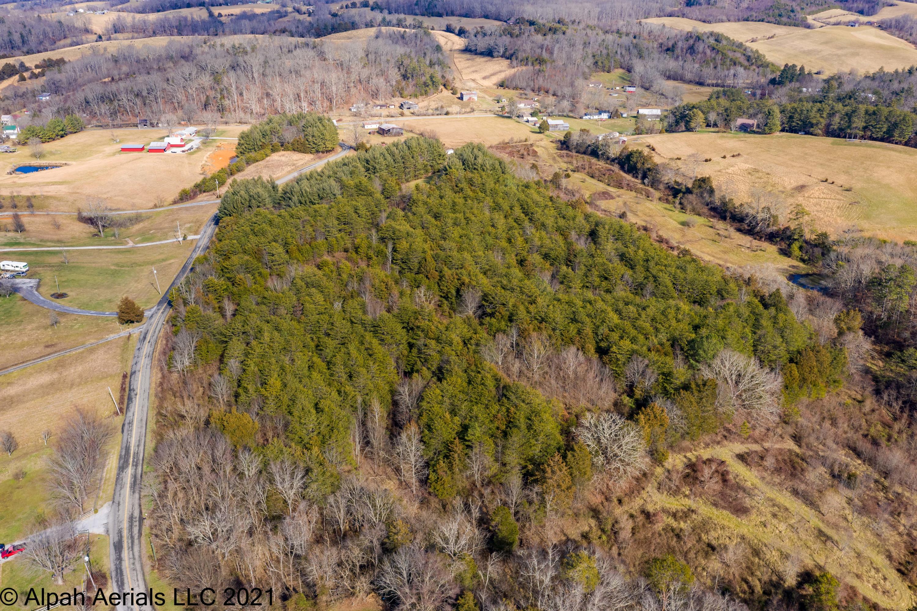 Tbd Bill Jones Road Afton, TN 37616 - Photo 20 of 22 TBD Bill Jones Road (21 of 26)