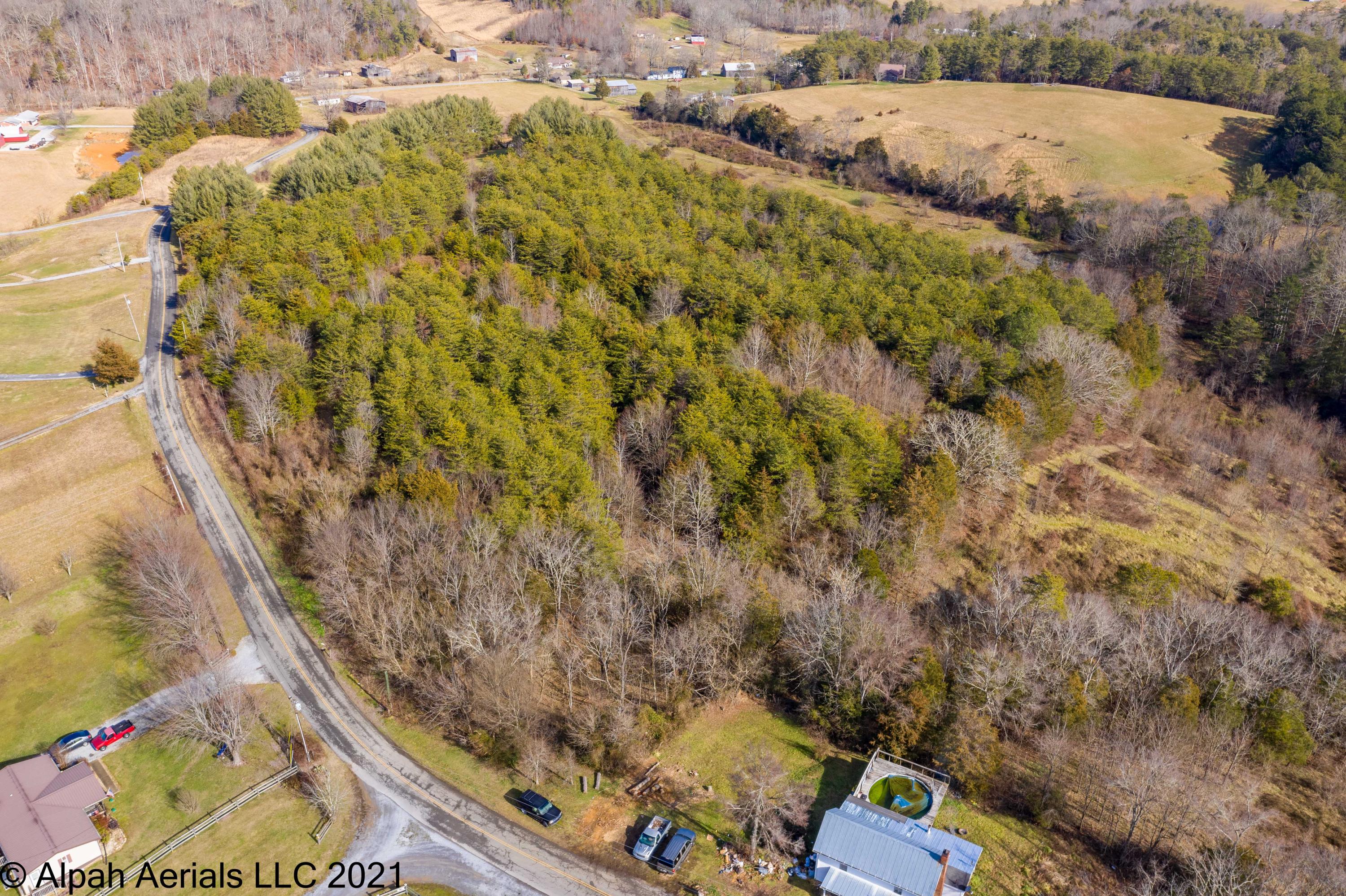 Tbd Bill Jones Road Afton, TN 37616 - Photo 3 of 22 TBD Bill Jones Road (1 of 26)