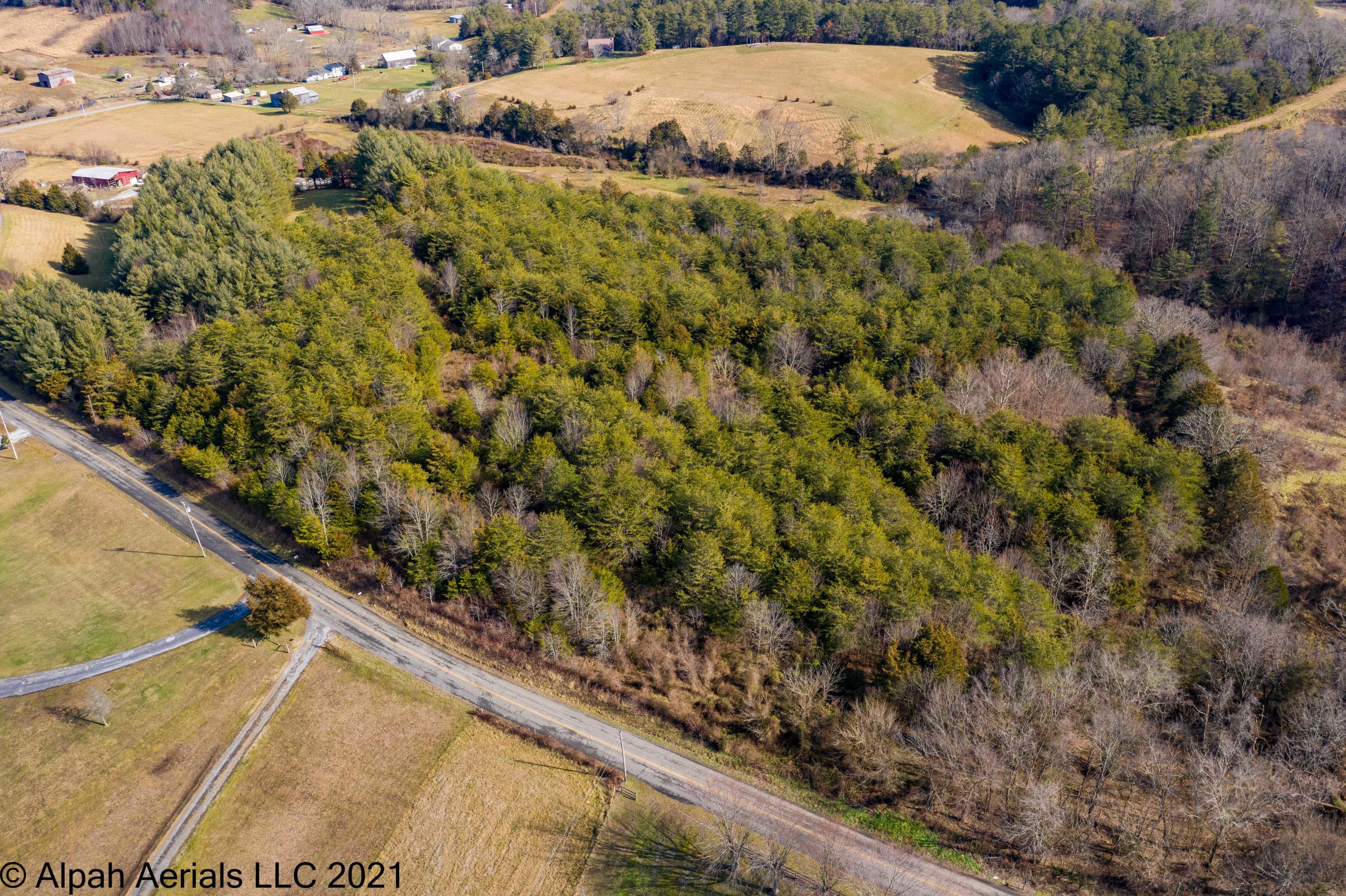 Tbd Bill Jones Road Afton, TN 37616 - Photo 21 of 22 TBD Bill Jones Road (22 of 26)
