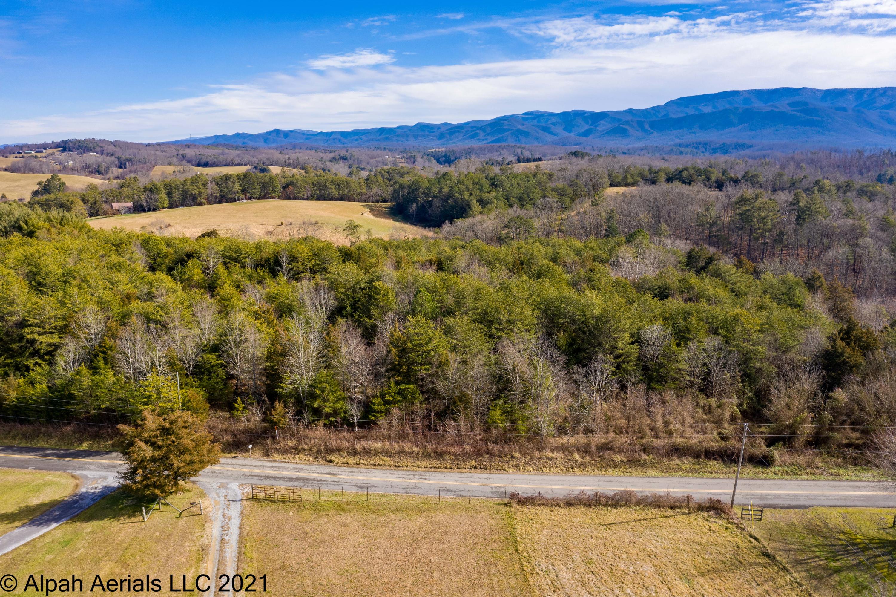Tbd Bill Jones Road Afton, TN 37616 - Photo 22 of 22 TBD Bill Jones Road (24 of 26)