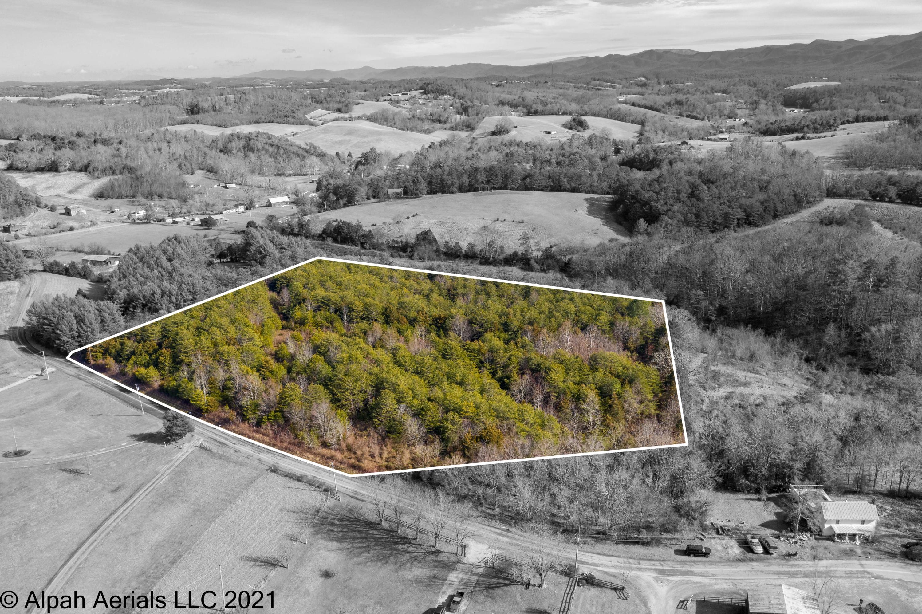 Tbd Bill Jones Road Afton, TN 37616 - Photo 5 of 22 TBD Bill Jones Road (2 of 26)