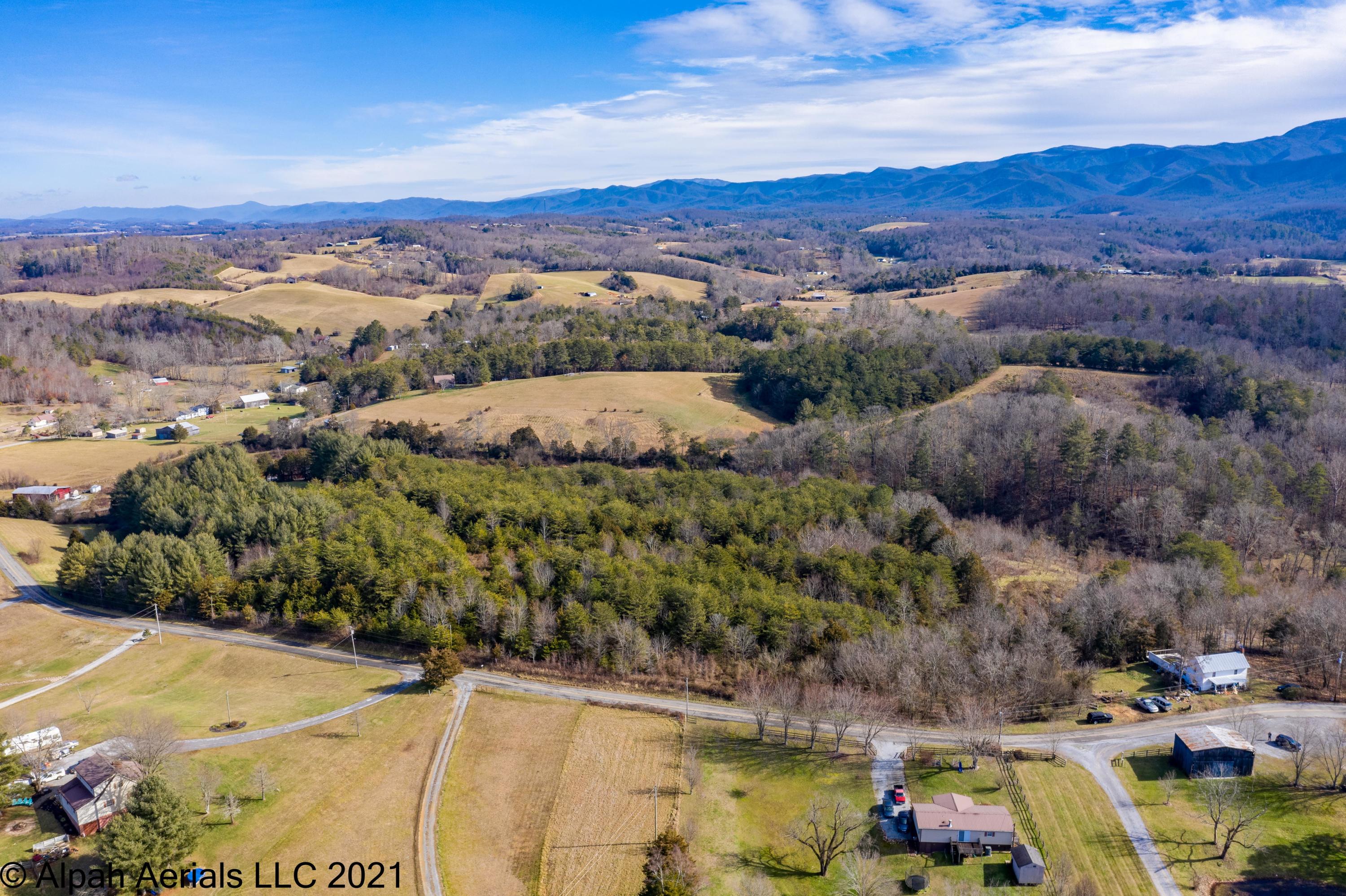 Tbd Bill Jones Road Afton, TN 37616 - Photo 8 of 22 TBD Bill Jones Road (4 of 26)